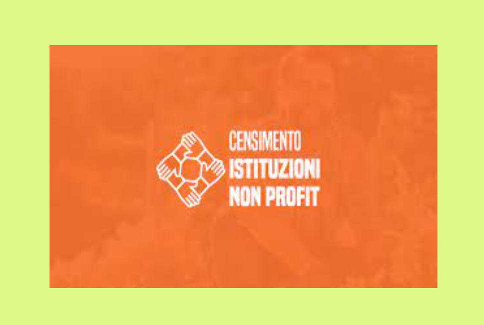 Censimento permanente delle Istituzioni non profit - Rilevazione campionaria sulle Istituzioni non profit (codice IST-02578).